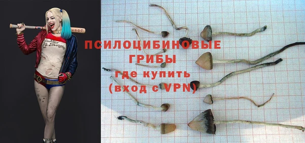 PSILOCYBIN Армянск